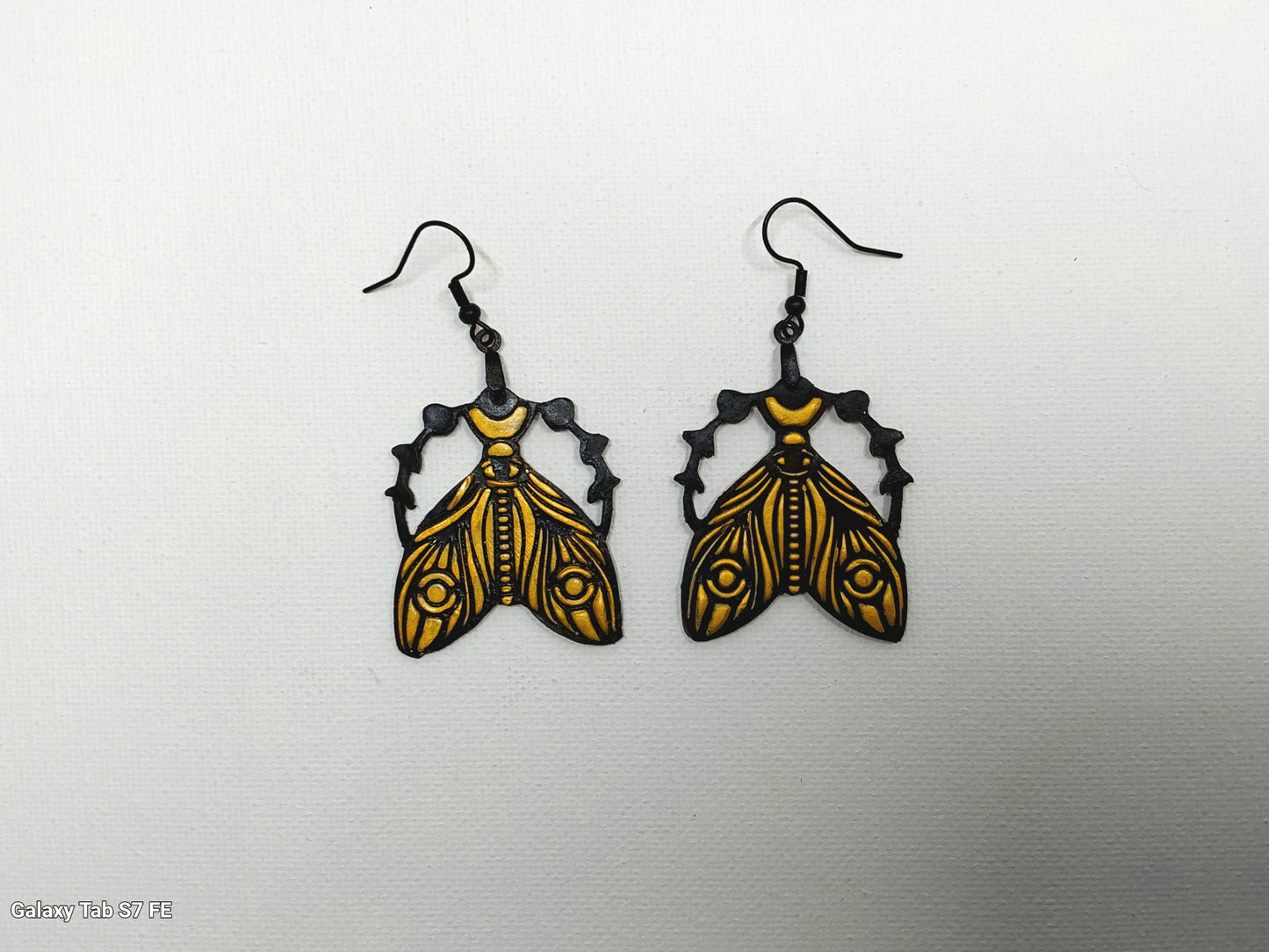 Moth of Phases