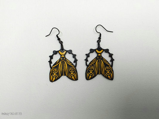 Moth of Phases